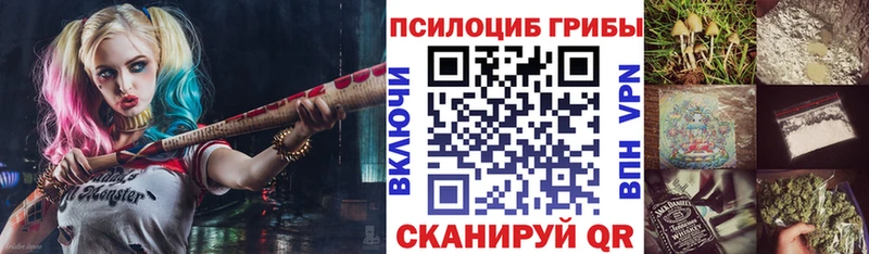 Галлюциногенные грибы Psilocybine cubensis  Подольск 